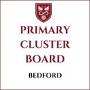 Primary Cluster   Bedford